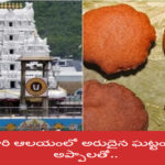 A rare event at Srivari Temple – with 51 appalas..