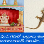 Do you know what happens if you have lizards in your god’s room…?